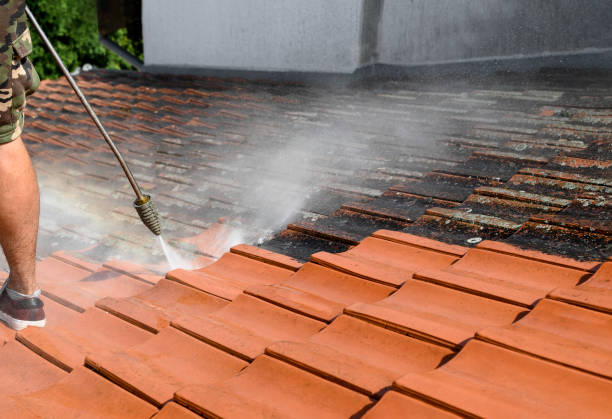 Best Concrete Pressure Washing  in Beaver Dam, WI