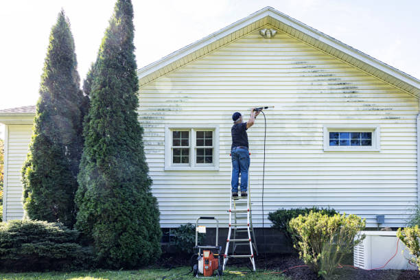 Best Deck Cleaning Services  in Beaver Dam, WI